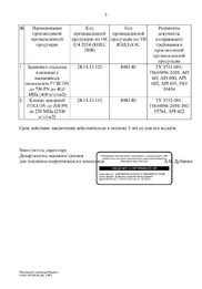 Заключение Минпромторга по РТМТ приложение